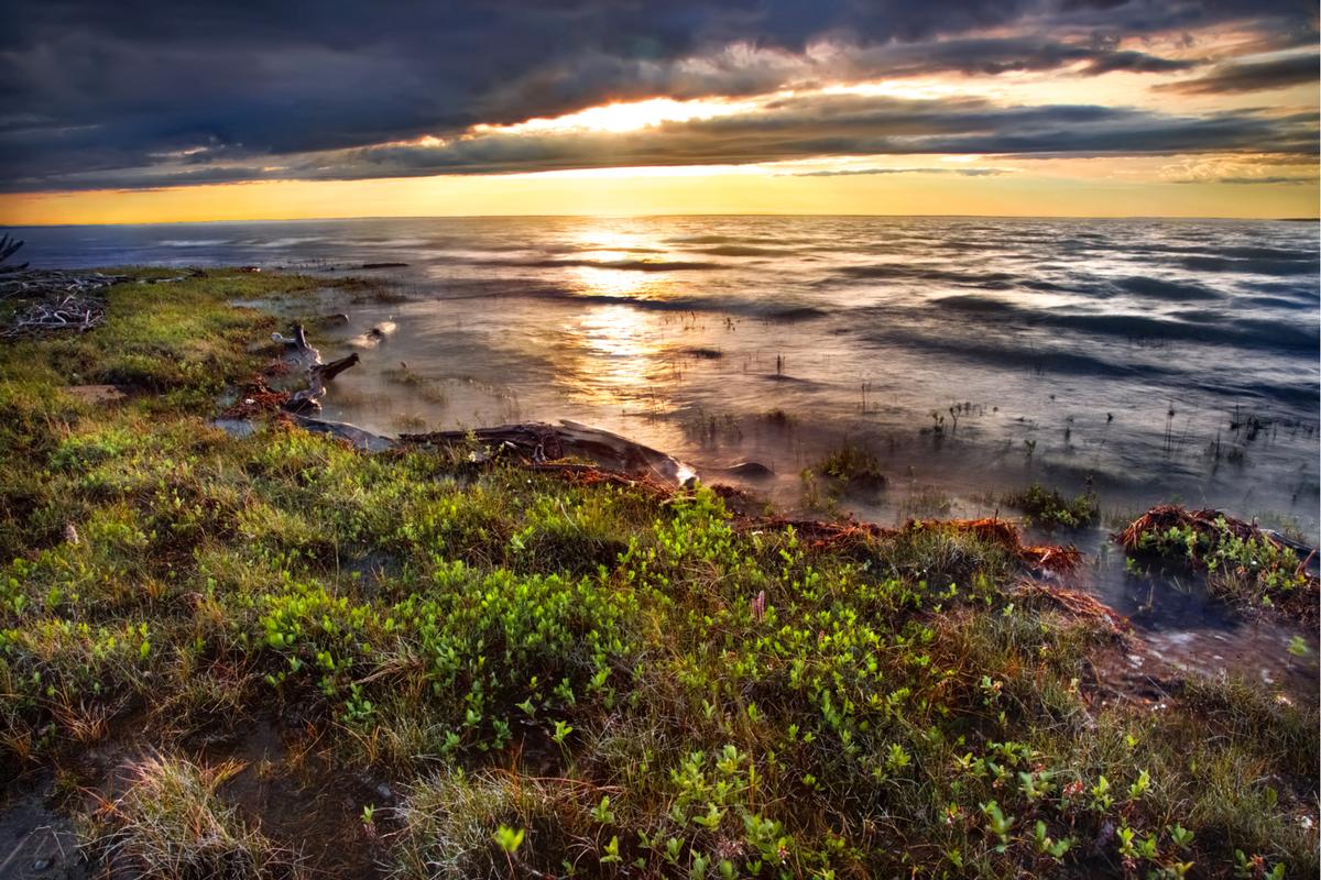 Воды моря Лаптевых