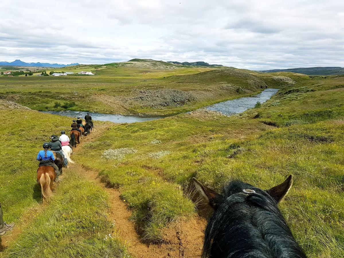 Group of tourists riding horses in Iceland