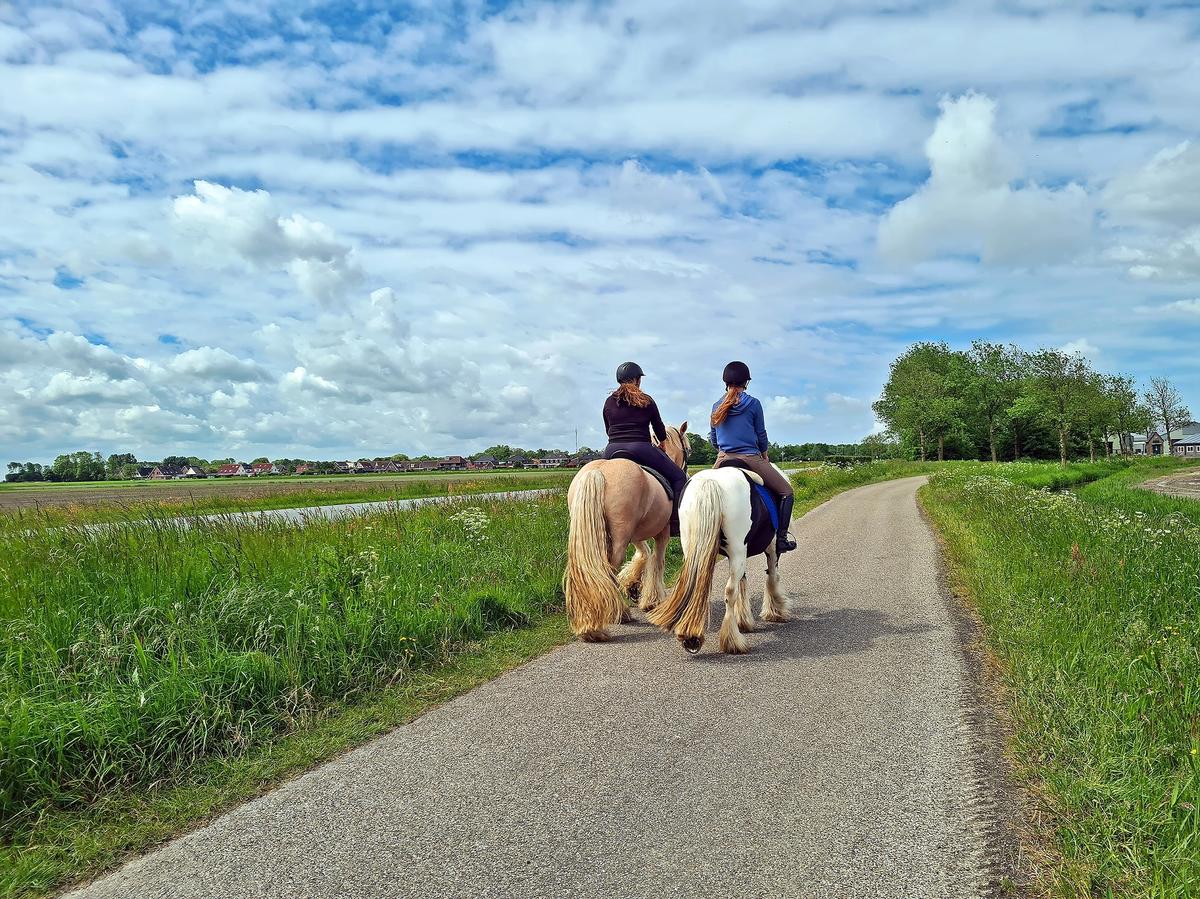 Summer horse riding