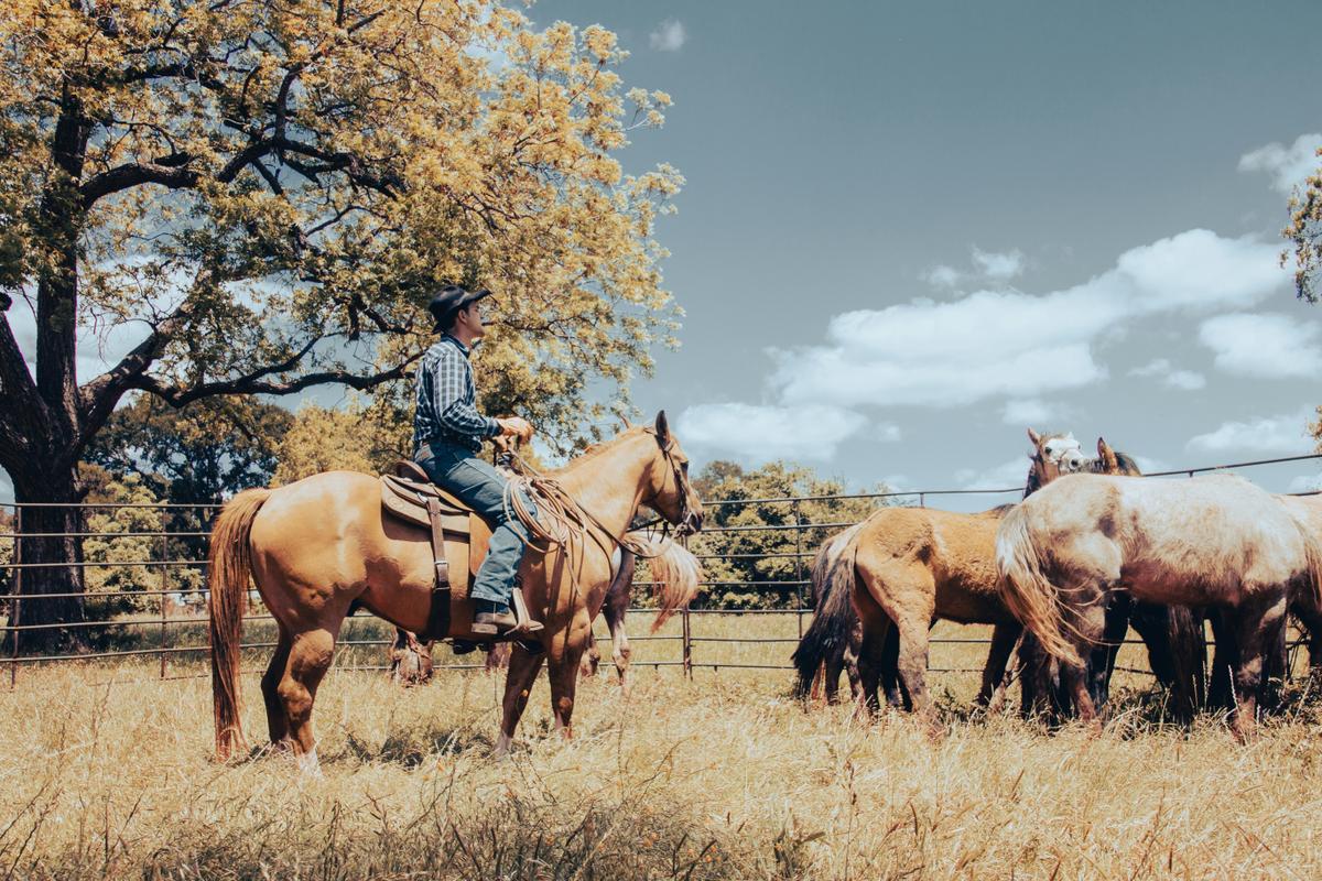 Autumn at the ranch