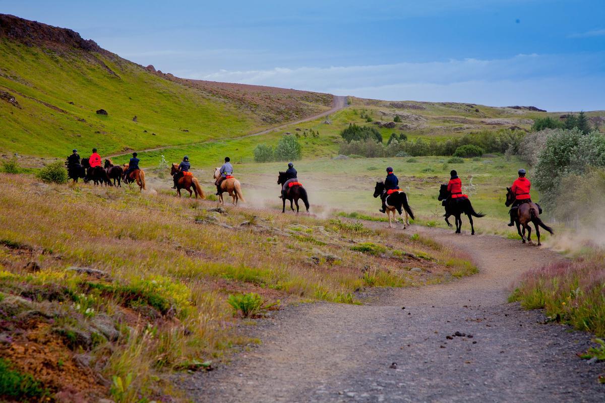 Group of tourists riding horses in Iceland