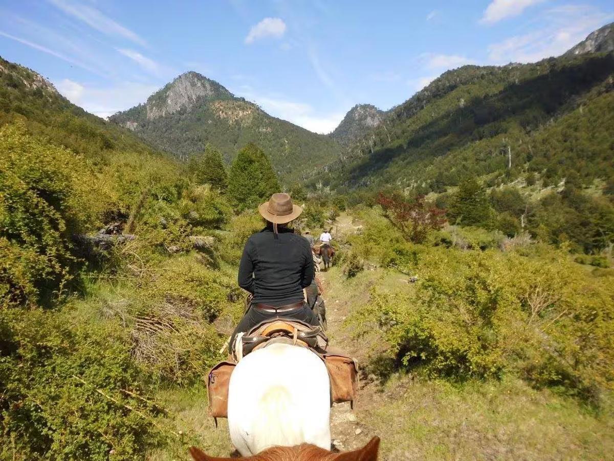 Horse Riding in National Park Huerquehue