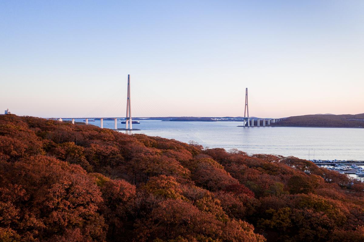 Осенний пейзаж моста Русский