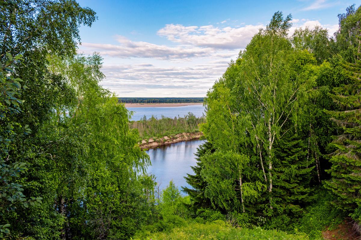 Берег Северной Двины