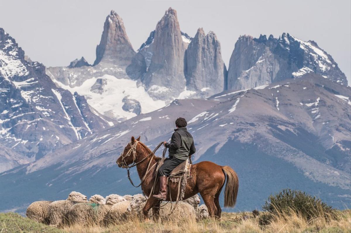 Man on Horseback in Torres del Paine