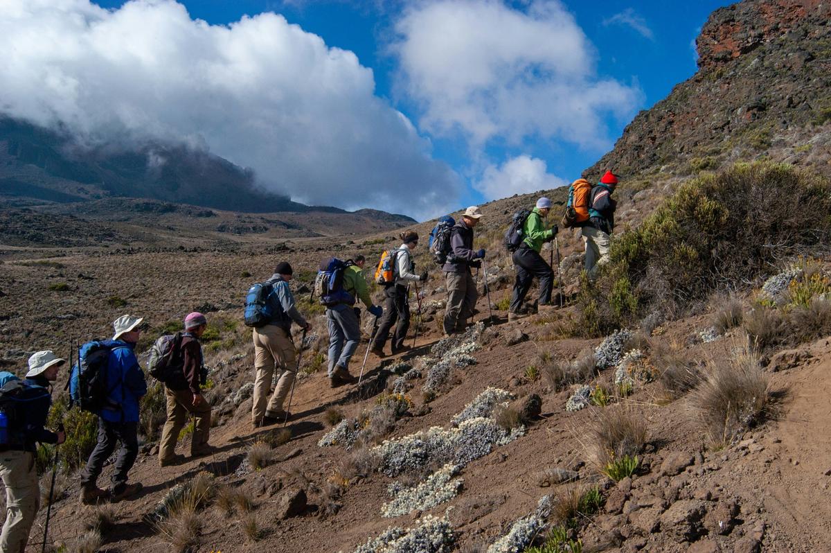 A group of tourists climbs Mount Kilimanjaro