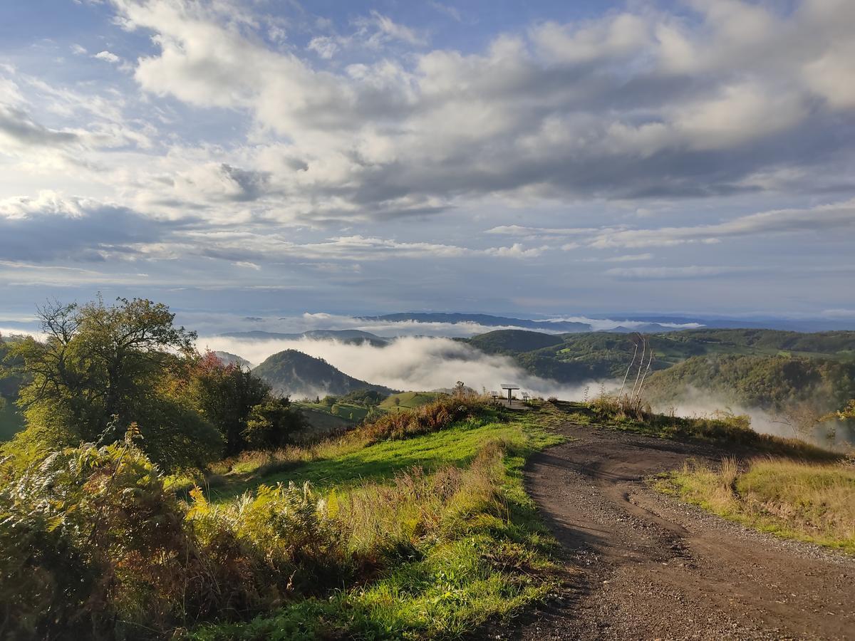 Tara National Park