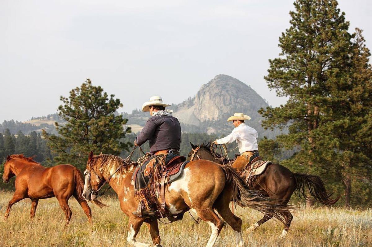 Men riding horses in Yellowstone National Park