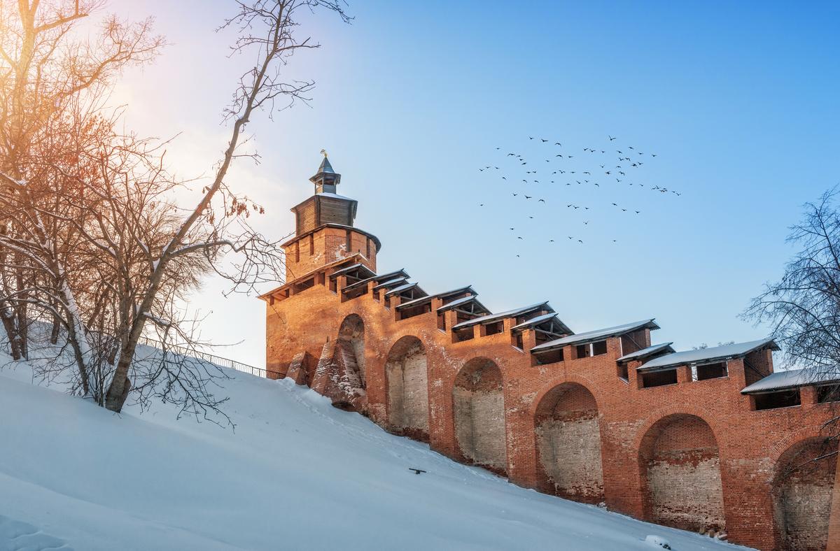Часовая башня Нижегородского кремля и птицы
