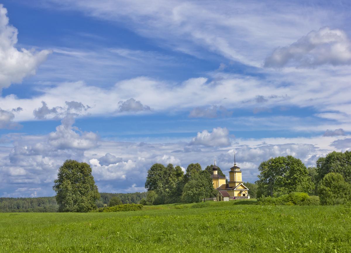 Городище Воронич