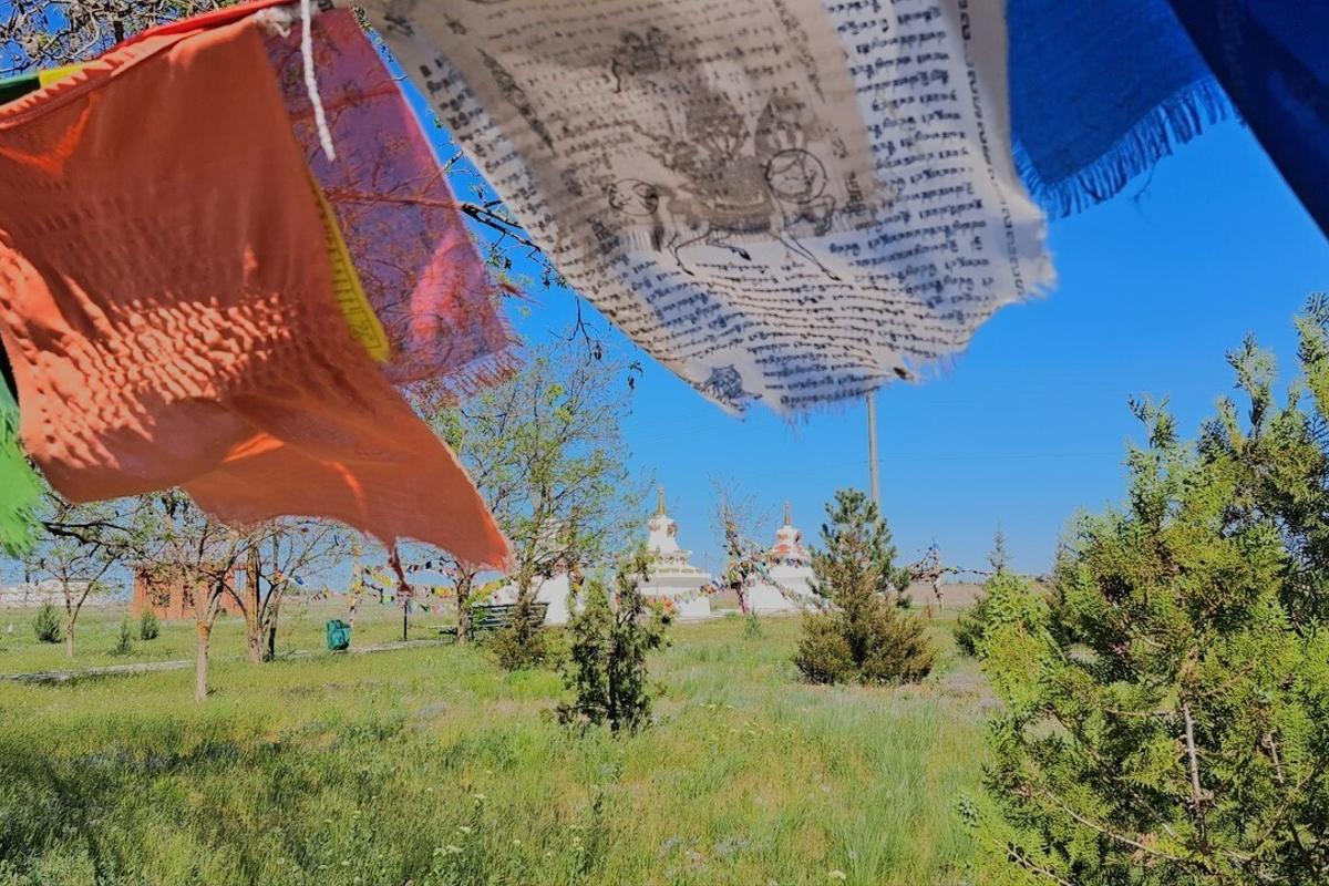 Калмыкия, тюльпанные поля, Баскунчак и Золотая Элиста. Этнографическая экспедиция (16/17)
