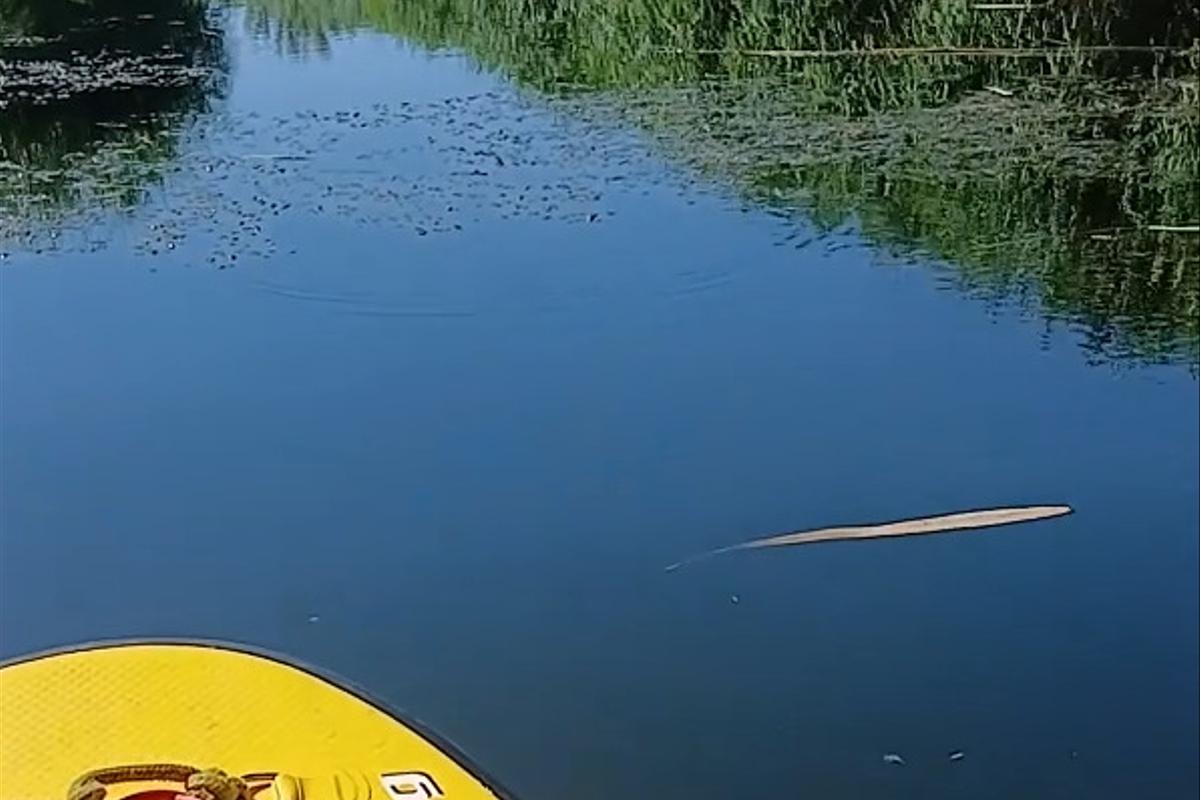 Откройте Волгоградское море. 6 дней на шикарной яхте с семьей (13/24)
