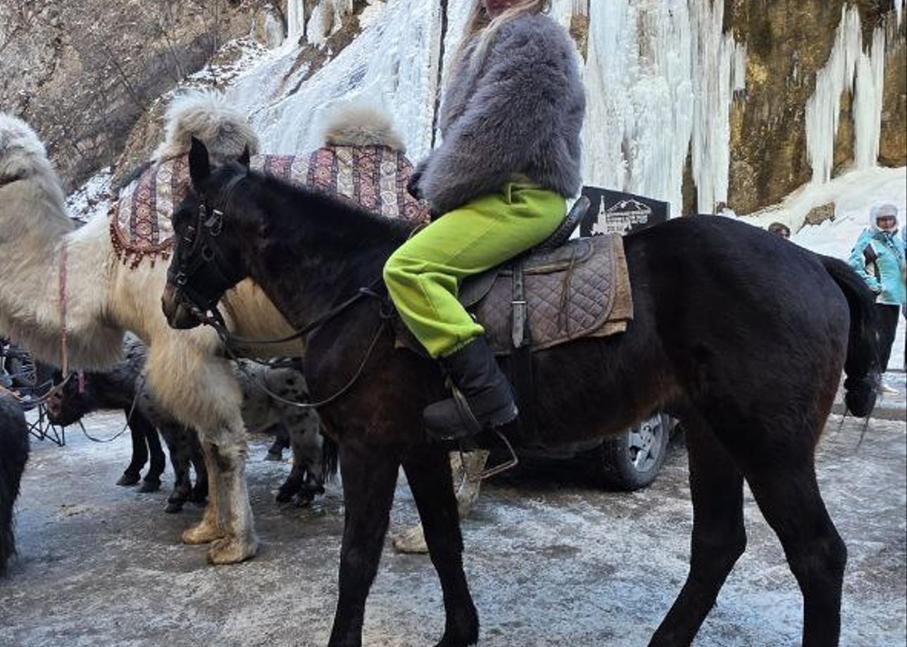 Все понравилось. Ооооочень насыщенно, наконец-то окунулась в культуру Кавказа. Милые люди, красивые горы, вкусная еда и