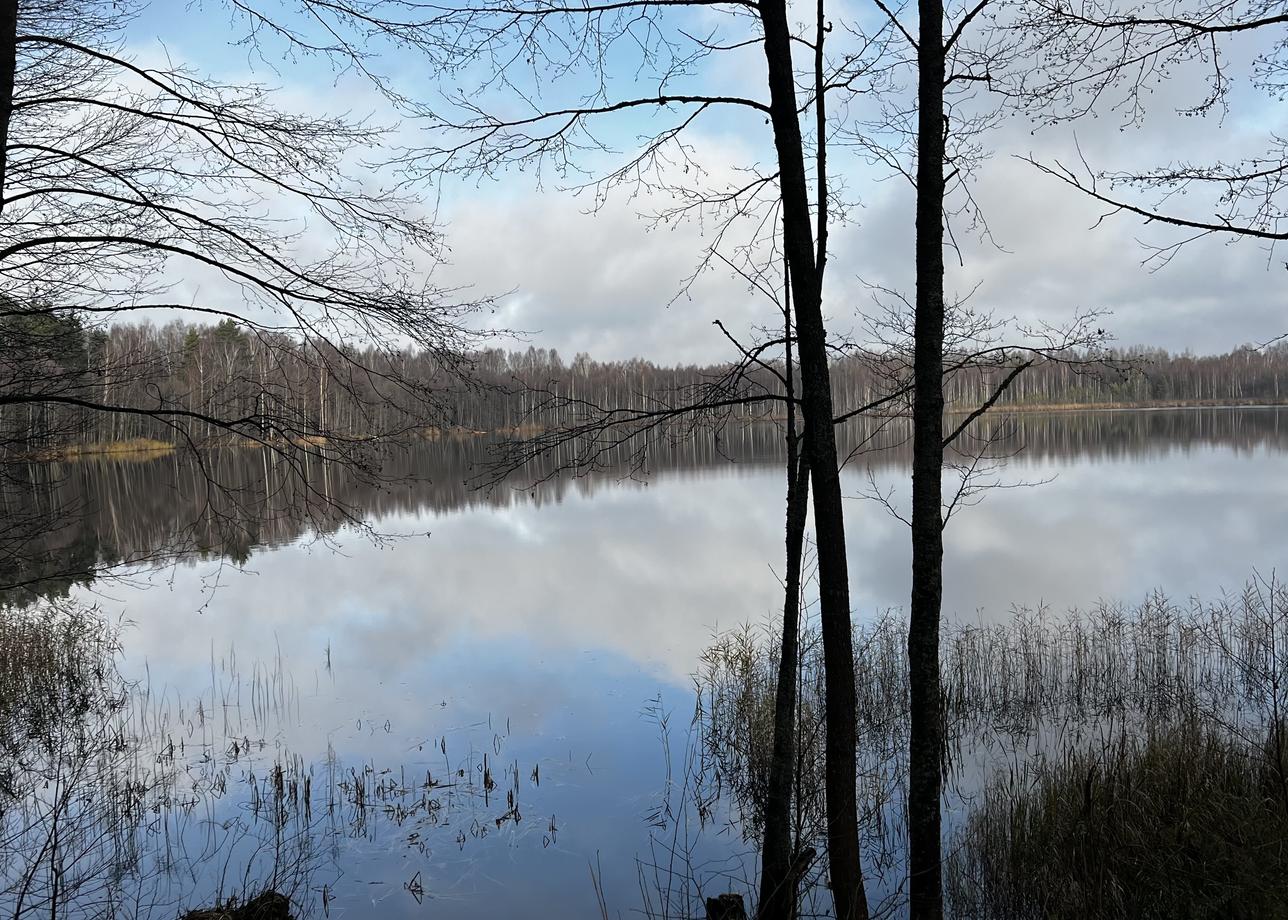 Прекрасно организованно путешествие, с учётом индивидуальных пожеланий!