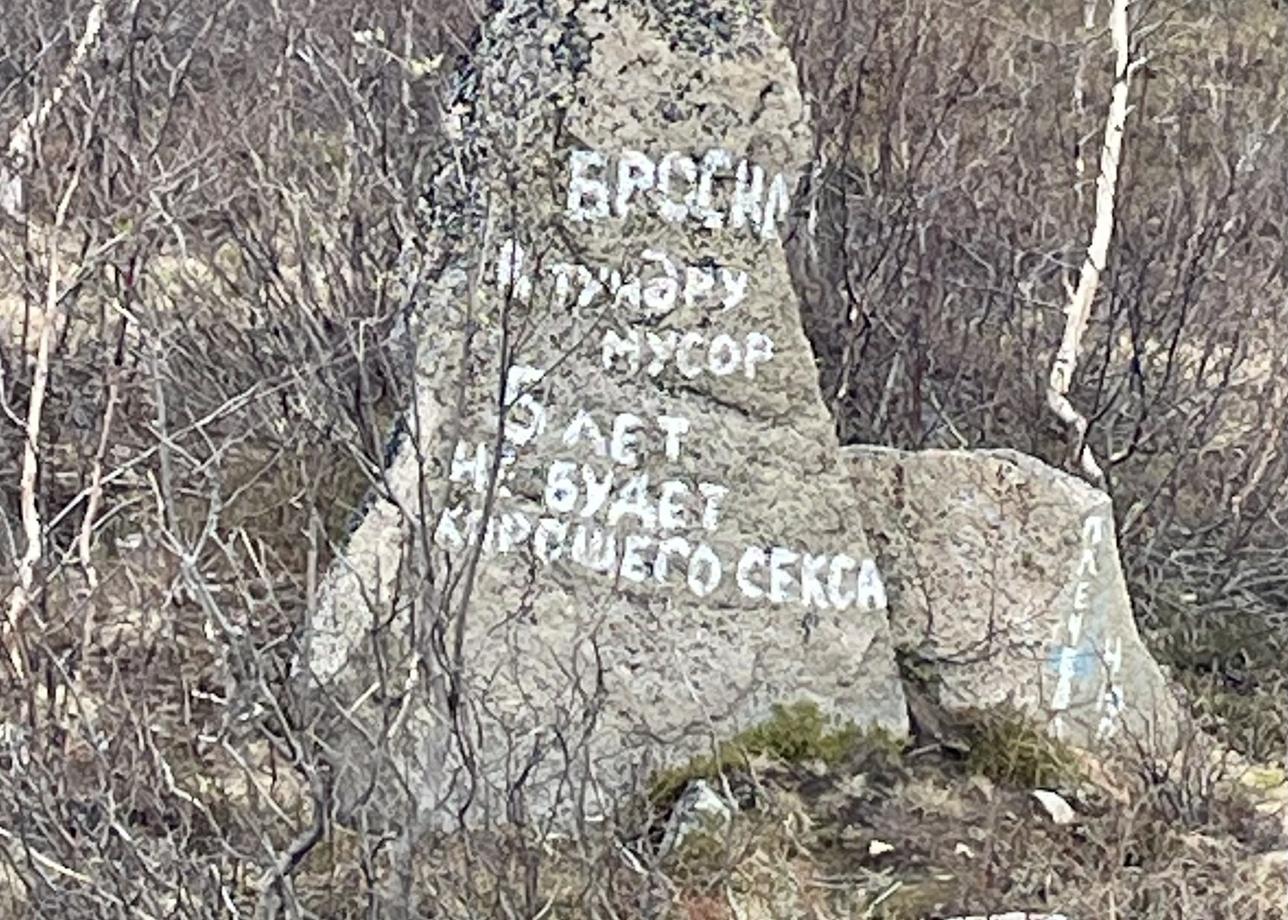 Отличная программа на три дня. Мы побывали всего в двух локациях - Мурманск и Териберка, но