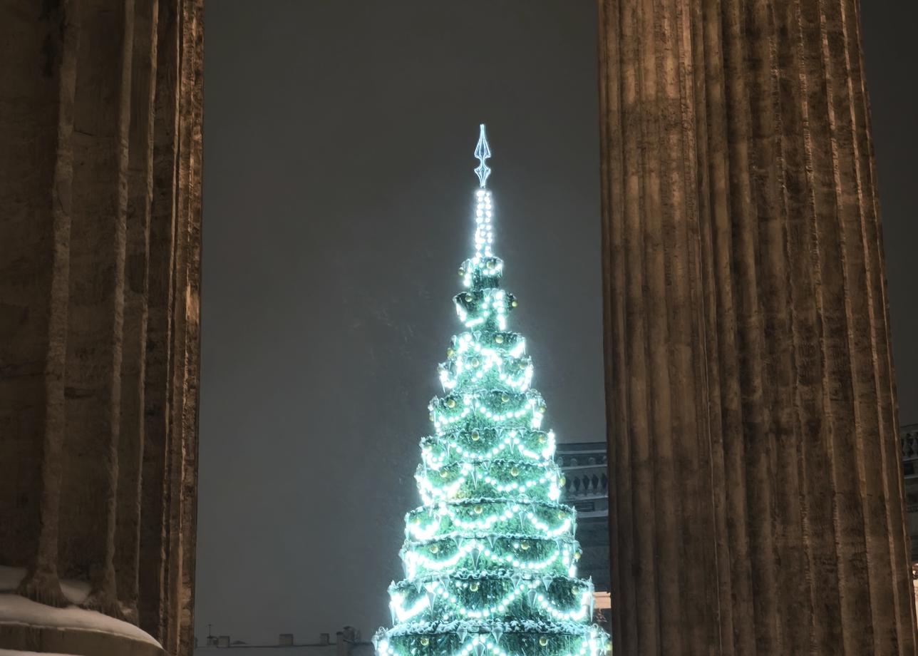 Тур очень понравился. Мы часто ездим в Санкт-Петербург. Но первый раз взяли новогодний тур на три
