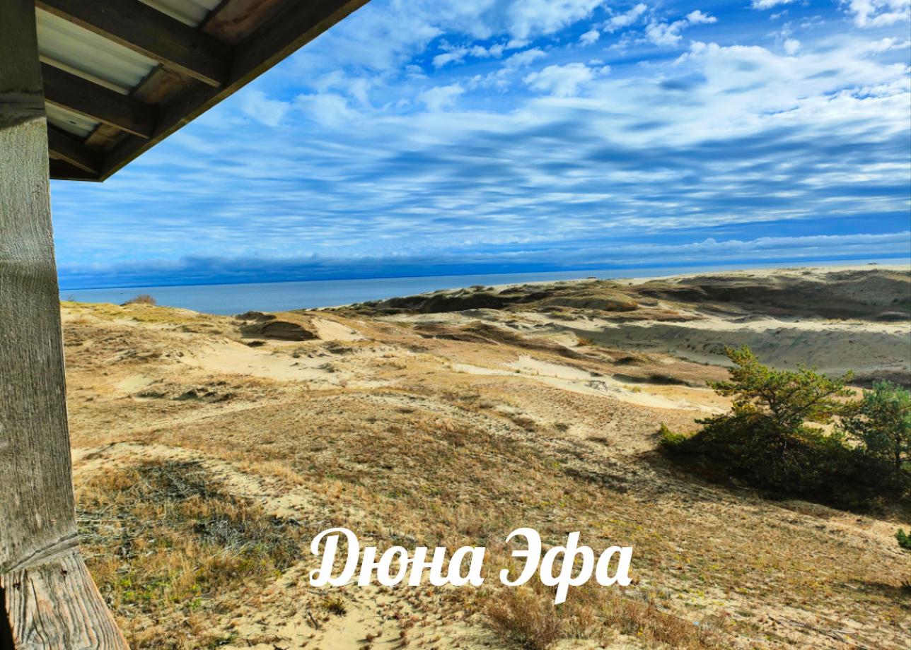 Путешествие по Калининградской области прошло великолепно. Благодарю туроператора за прекрасную организацию тура. Все экскурсии начинались вовремя