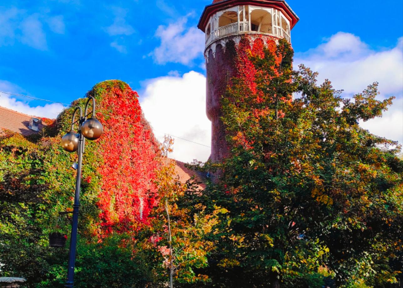 Путешествие по Калининградской области прошло великолепно. Благодарю туроператора за прекрасную организацию тура. Все экскурсии начинались вовремя