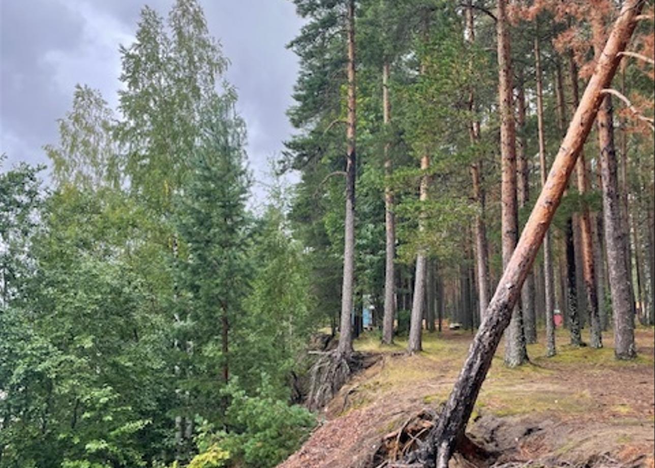 Благодарна за организацию такого вида активного отдыха, всё продумано до мелочей, так как это был мой