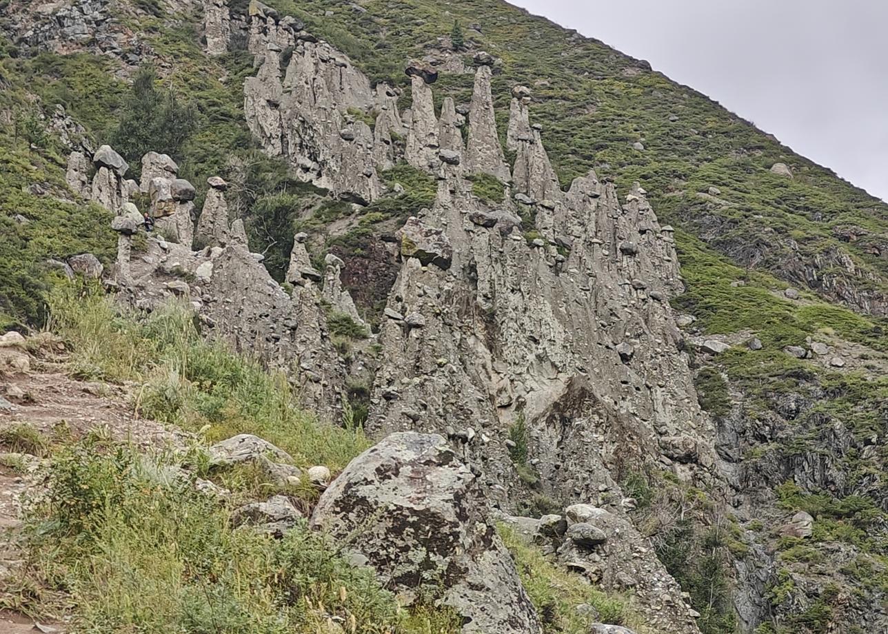 Прекрасное путешествие, просто сказочное!!! Были на маршруте "Кругосветка по Алтаю" с гидом Ольгой Шаховой с 7