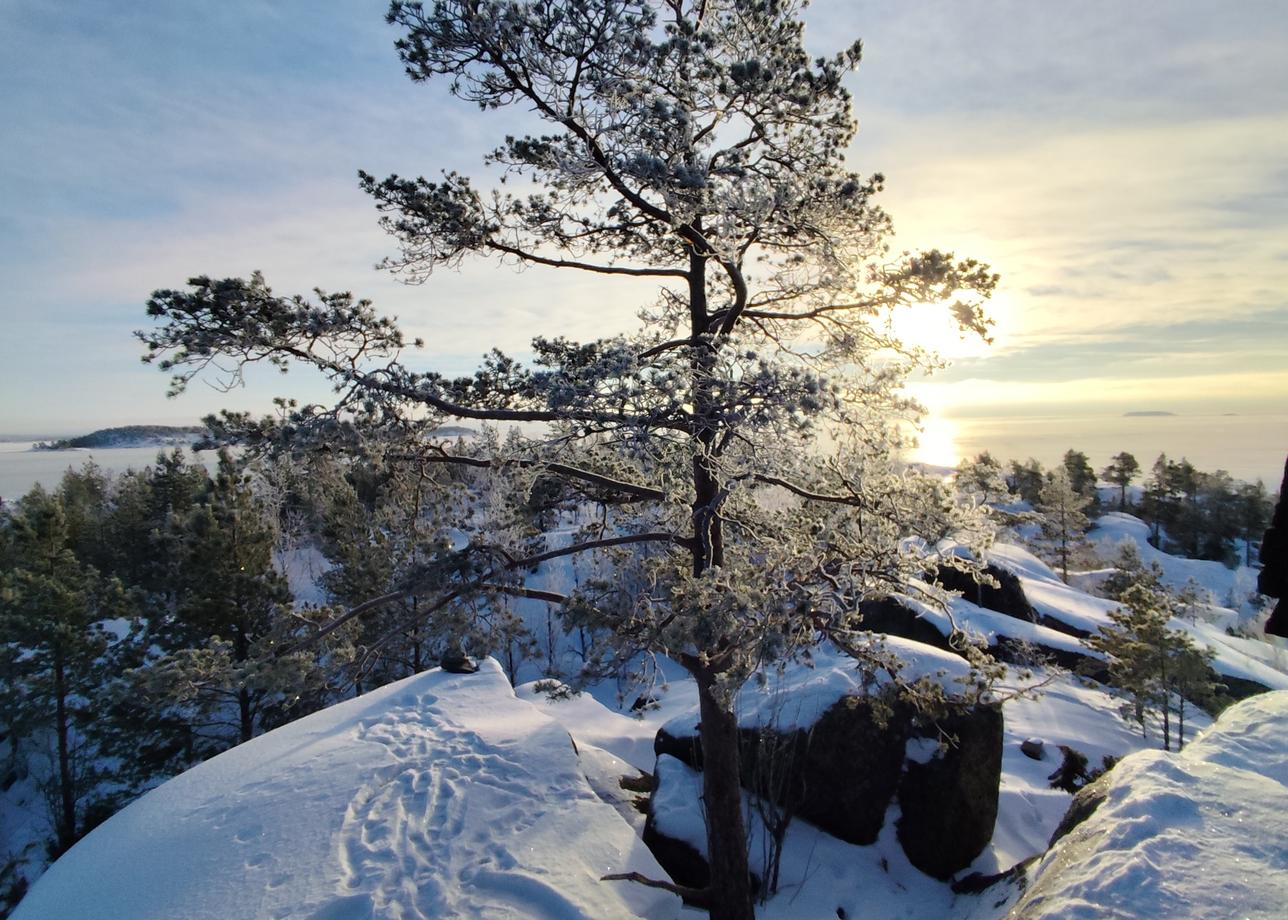 Прекрасно организованный тур! Посетили много красивых мест Карелии. Остались яркие впечатления и эмоции!
