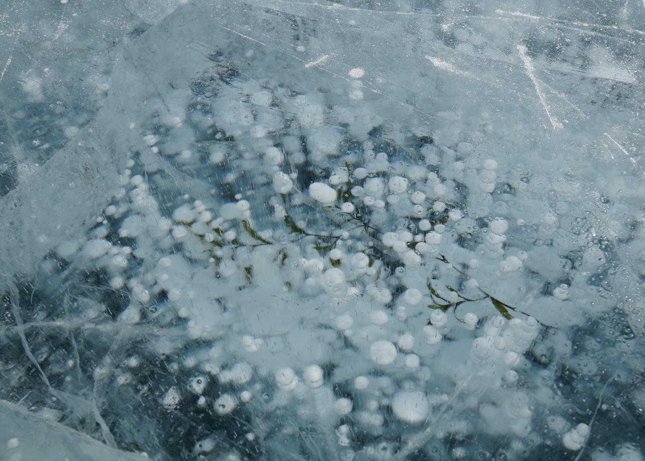 За все время тура у нас было два гида Максим и Дарья