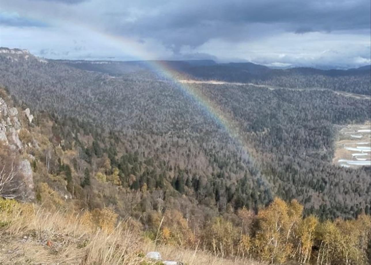 Организаторам великое уважение и благодарность!