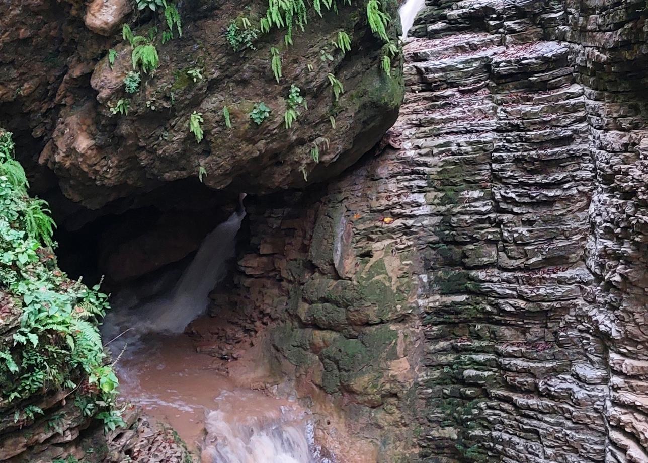 Организатор тура клиентоориентирован, благодаря другим туристам, находящимся на базе, посмотрели сверх лимита и за это ничего