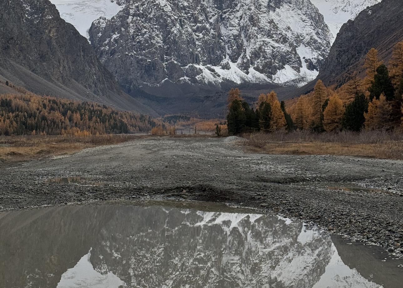 Лучшие.