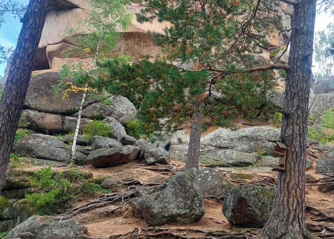 Хочу выразить огромную благодарность всем менеджерам и гидам, которые принимали участие в подготовке и организации этого