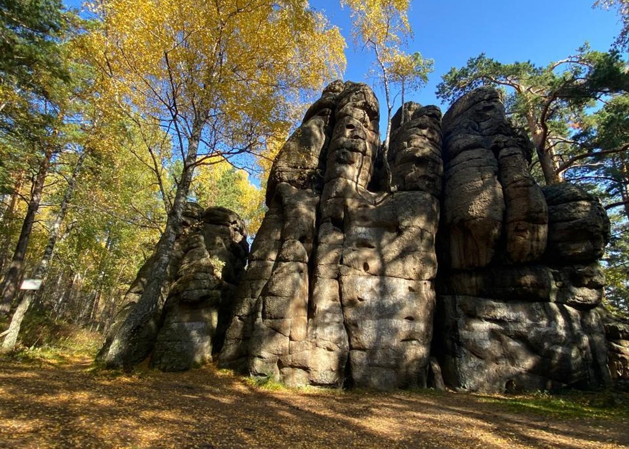 На высшем уровне!