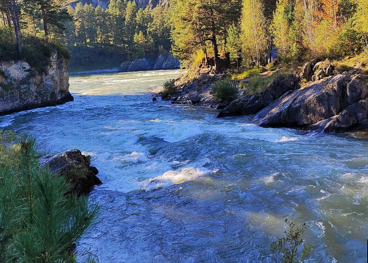 Алтай — больше, чем просто отдых. Это любовь с первого взгляда.