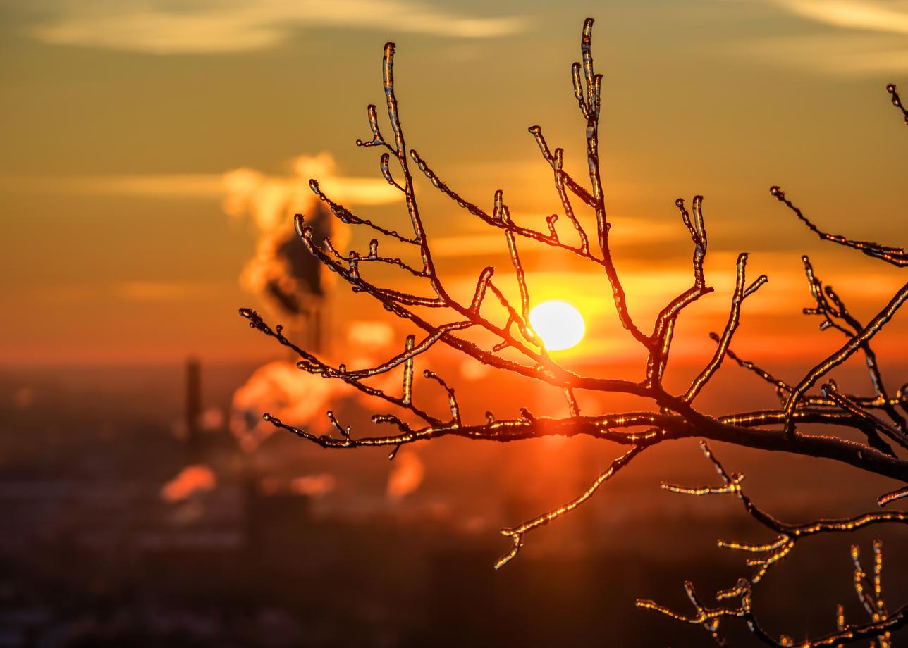 Масленичные выходные в Великом Новгороде