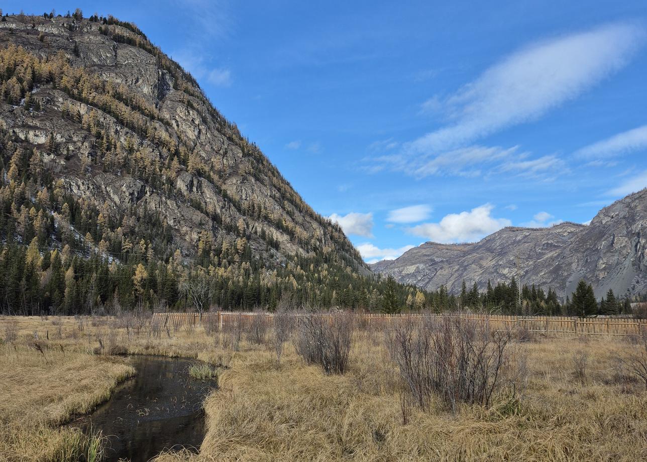 Все было четко, вовремя отвечали на вопросы, полное информирование обо всех деталях. Очень понравились места размещения:
