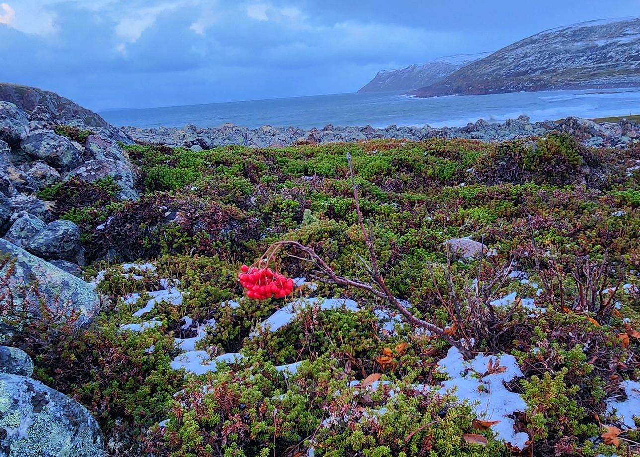 Это невероятный тур. Очень шикарные маршруты. А виды просто нереальные. В такие места нужно именно ходить!