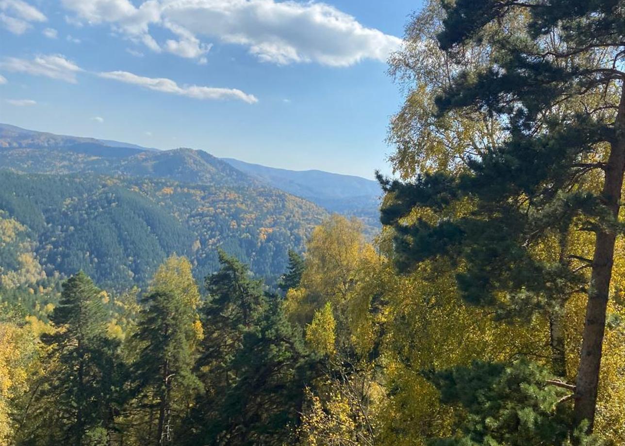 На высшем уровне!