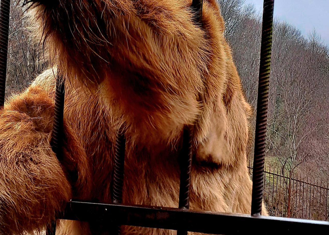 Огромное спасибо организаторам за чудесный отдых и насыщенную программу тура в Адыгее! Отдыхала с 21 по