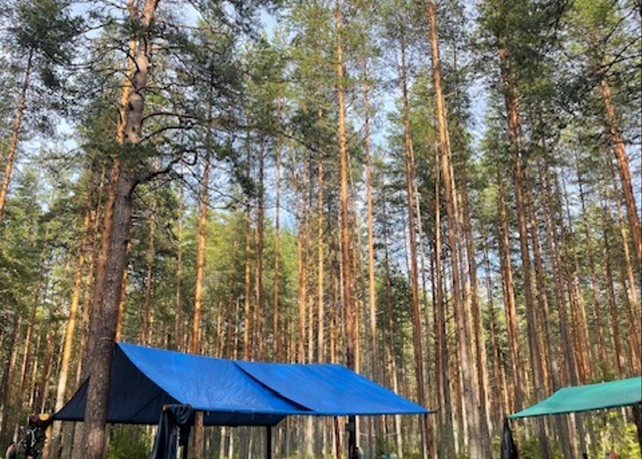 Благодарна за организацию такого вида активного отдыха, всё продумано до мелочей, так как это был мой