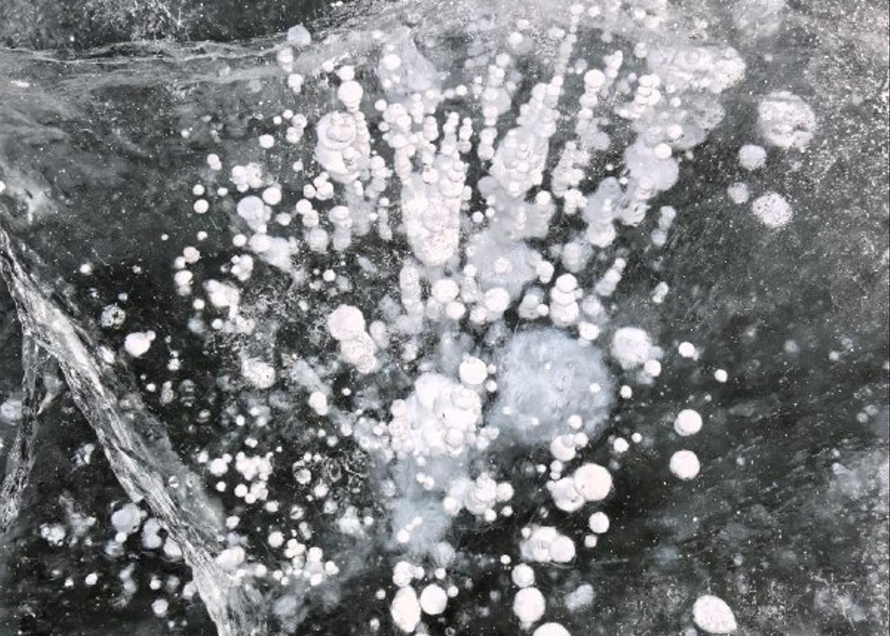 Всё прошло шикарно! Всё, что хотели, мы увидели. Трех дней оказалось вполне достаточно. Так же нам