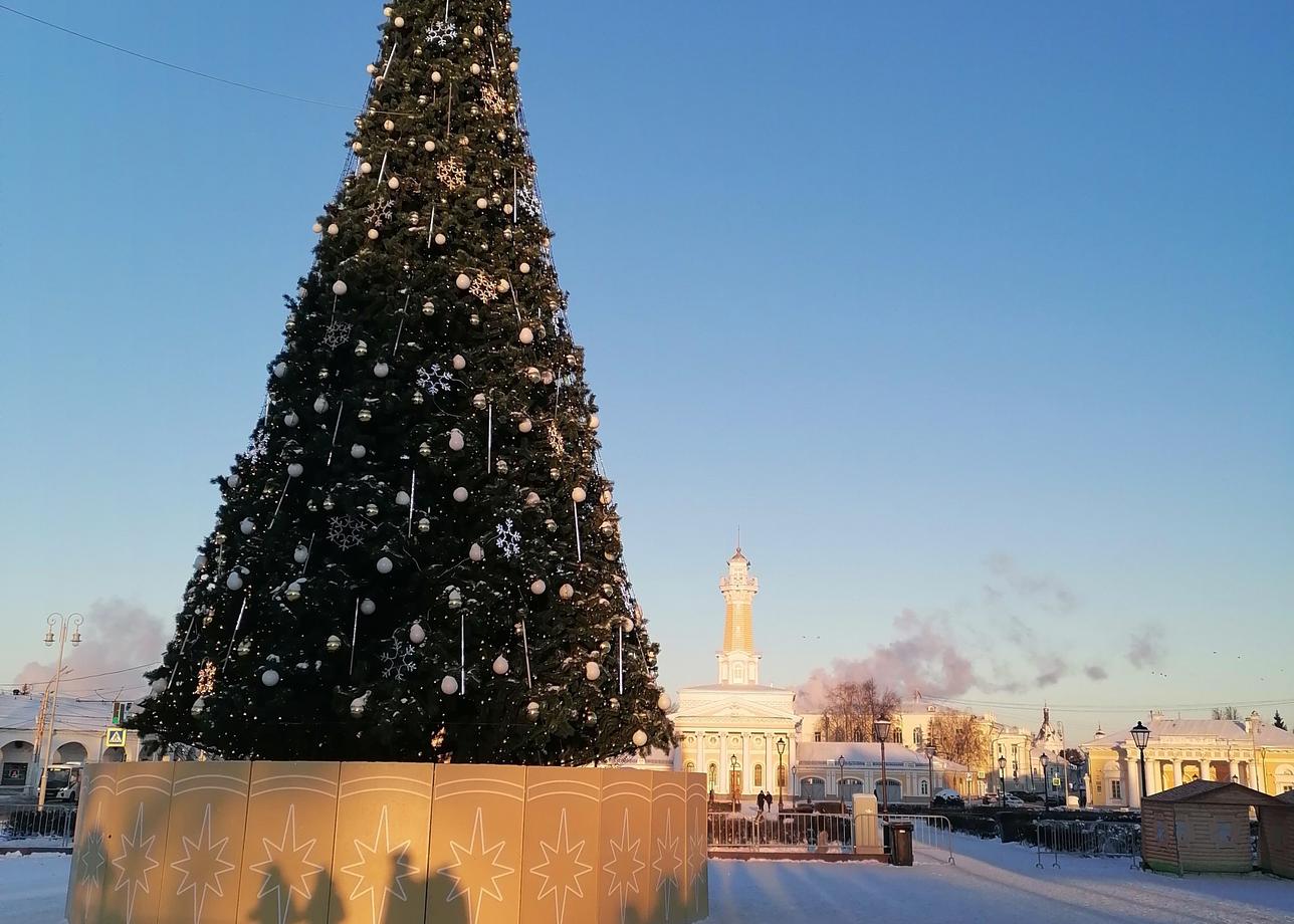 Мне поездка понравилась. Я давно собиралась посетить Кострому. И про лосиную ферму тоже знала. Мне очень