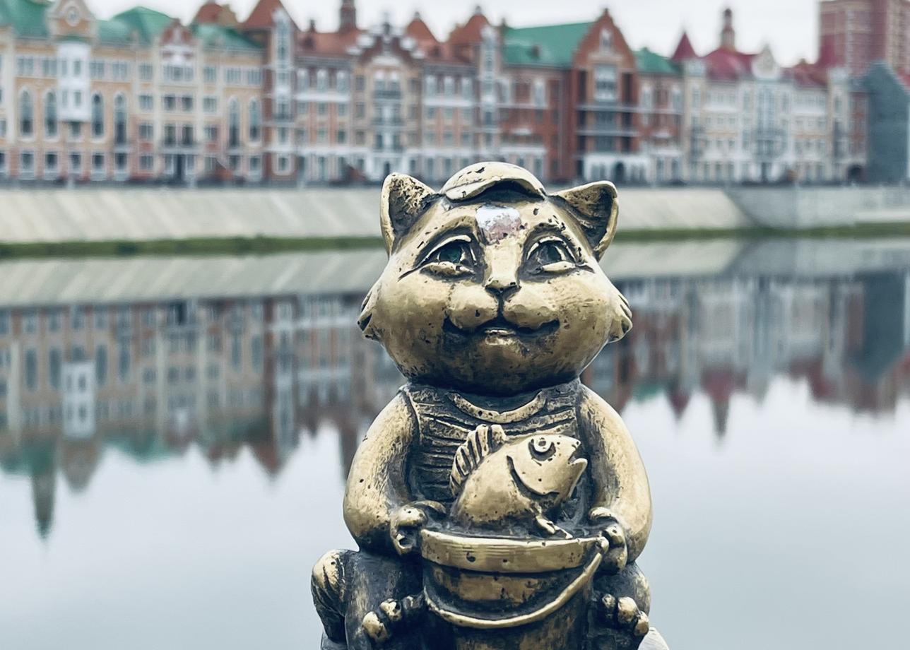 20-го октября 2025 я совершила поездку из Казани в Йошкар-Олу на комфортном и чистом автобусе. Всё