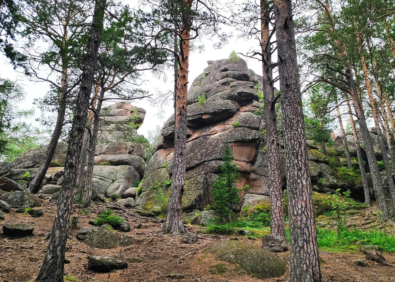 Красноярский край прекрасен, особенно плато Путорана. Круиз по Енисею тоже очень понравился, к тому же с