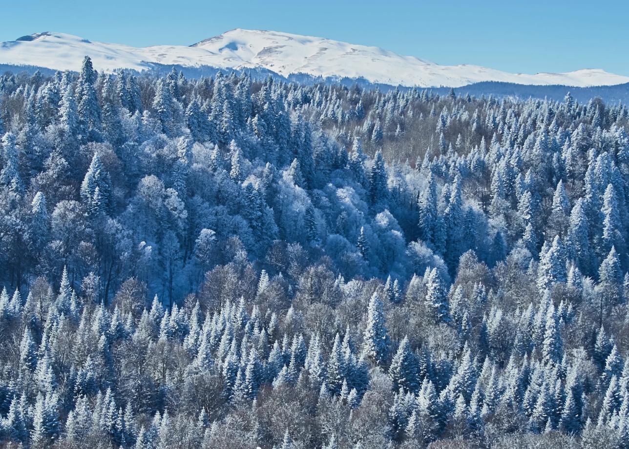 Зимняя Адыгея. Новый год на Кавказе и рафтинг