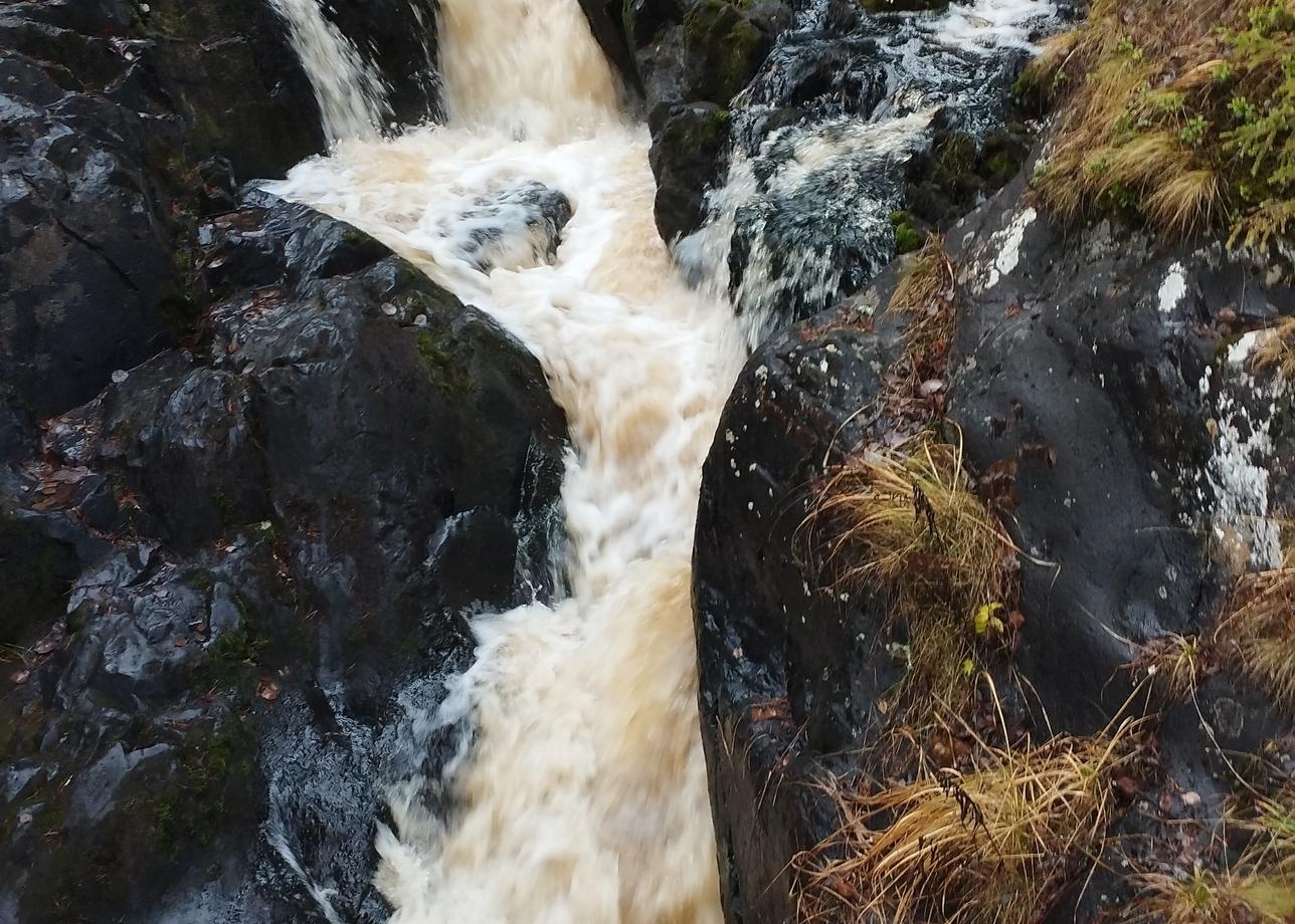 Что такое идеальное путешествие? Для нашей семьи теперь это — Карелия! Мы вернулись из поездки 2.11.2025