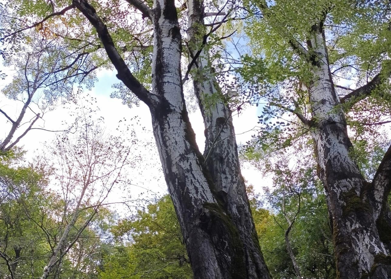 ☀🌝🌞Спасибо вам, Большая 🔥🔥🔥Страна, за возможность отдохнуть и получить массу удовольствия! 😊🙏 Поездка в Адыгею с