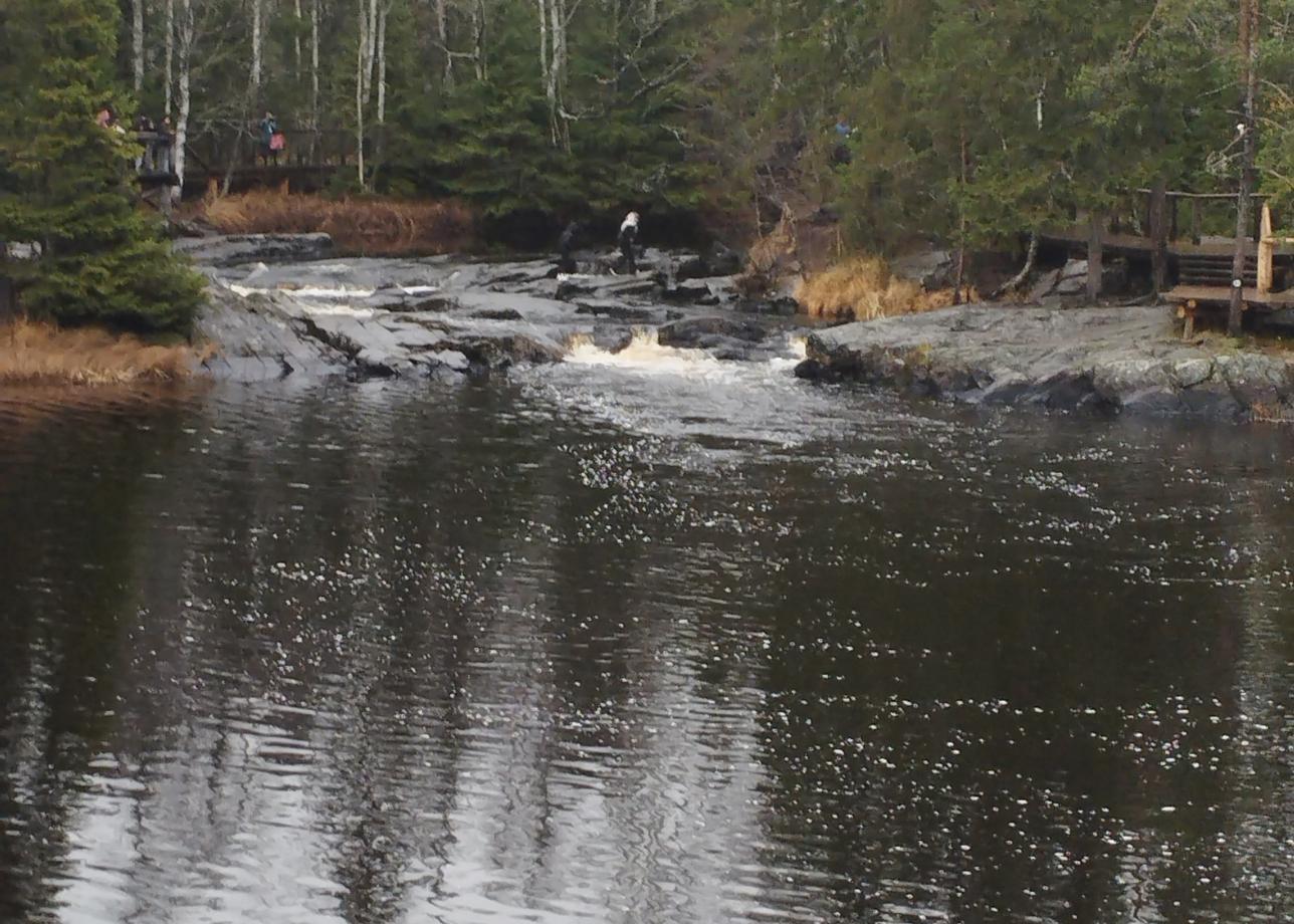 Что такое идеальное путешествие? Для нашей семьи теперь это — Карелия! Мы вернулись из поездки 2.11.2025