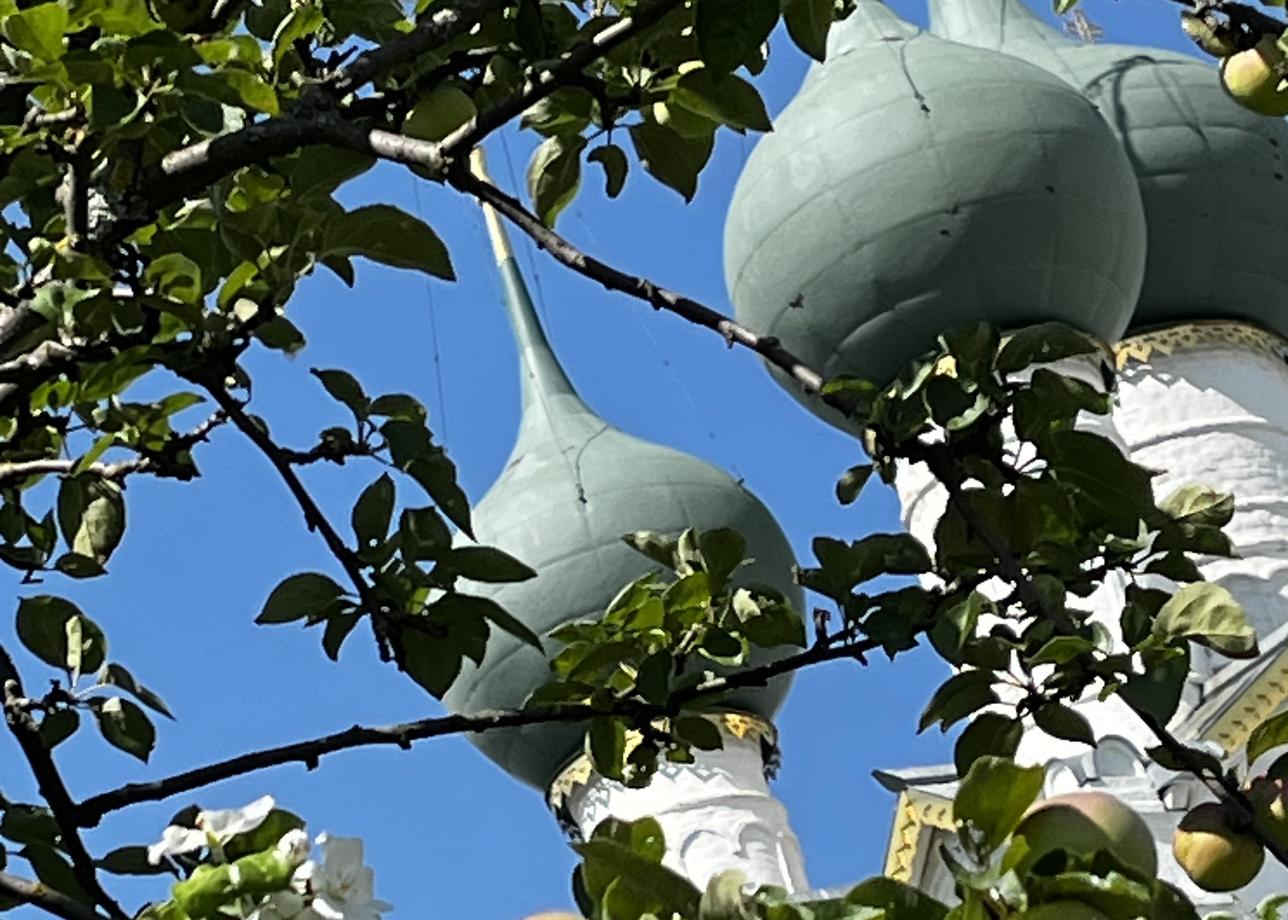 Тур «От Оки до Волги» восхитительный. 14 городов за 7 дней в самый раз: ни много