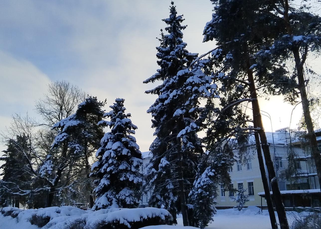 Интересная программа, красивые города, улочки. Жалко, было очень морозно и не удалось провести на улице больше времени и полюбоваться красотами.