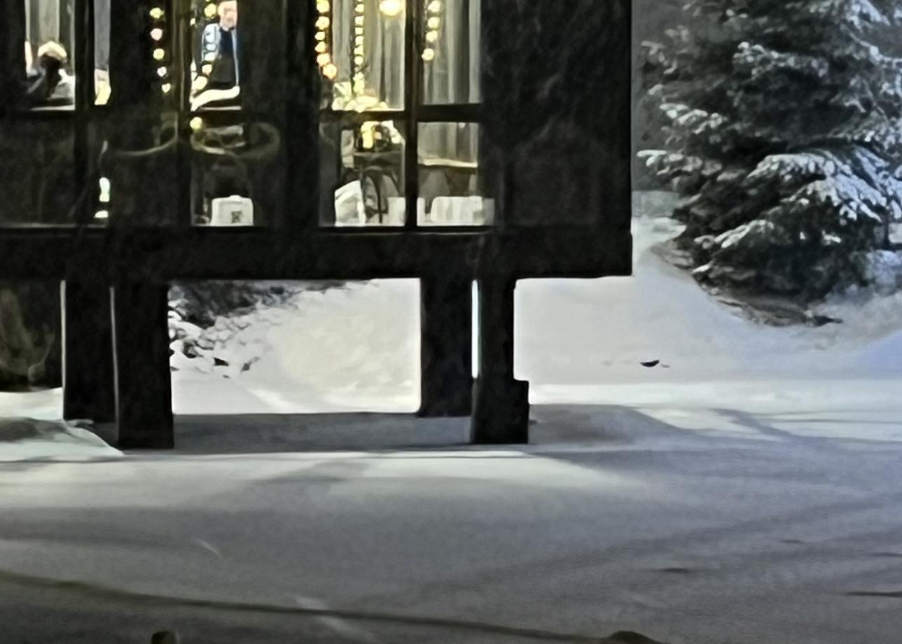 Все было супер, новогодний банкет шикарный, 1 января в крутом месте, и погода снежная способствовала атмосфере, шашлык и Дед Мороз забегал