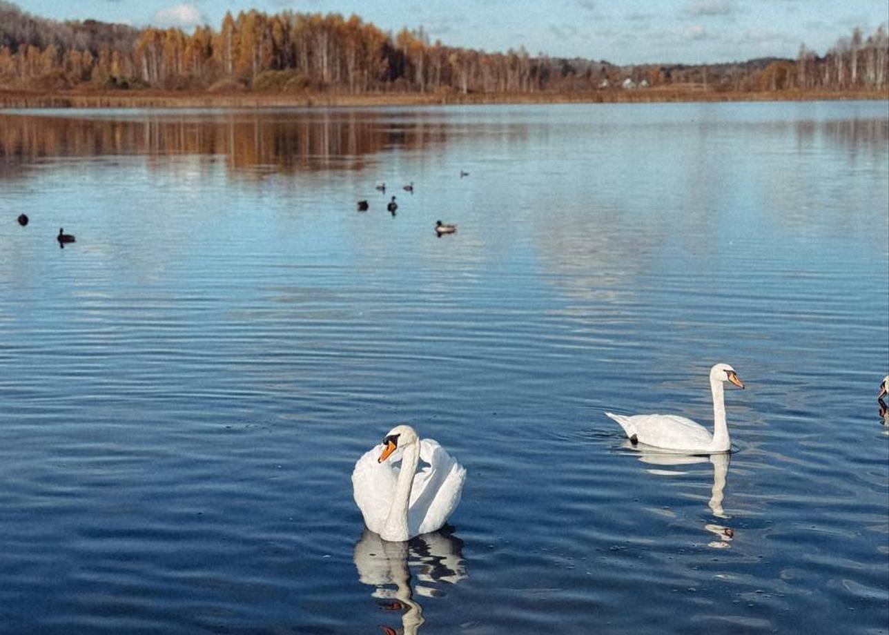 Была в этом туре в октябре 2025 года (17-22 октября). Повезло с погодой, дождь был только